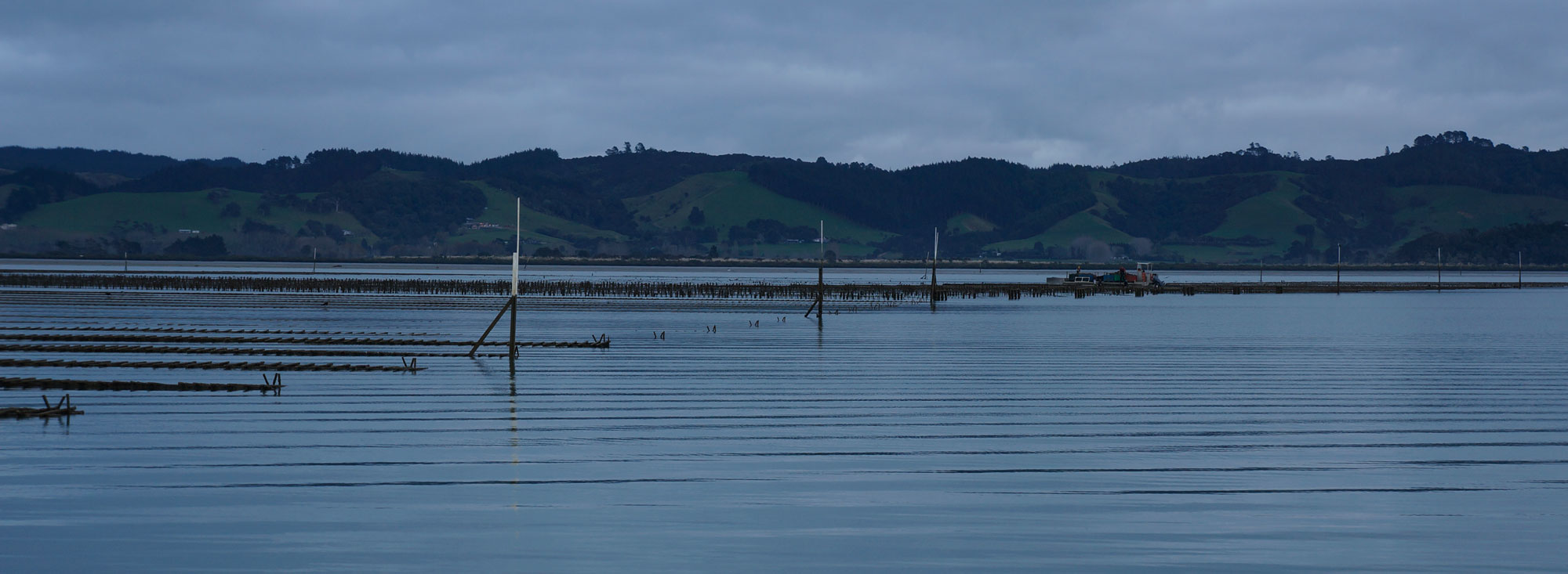 Our Story Clevedon Coast Oysters