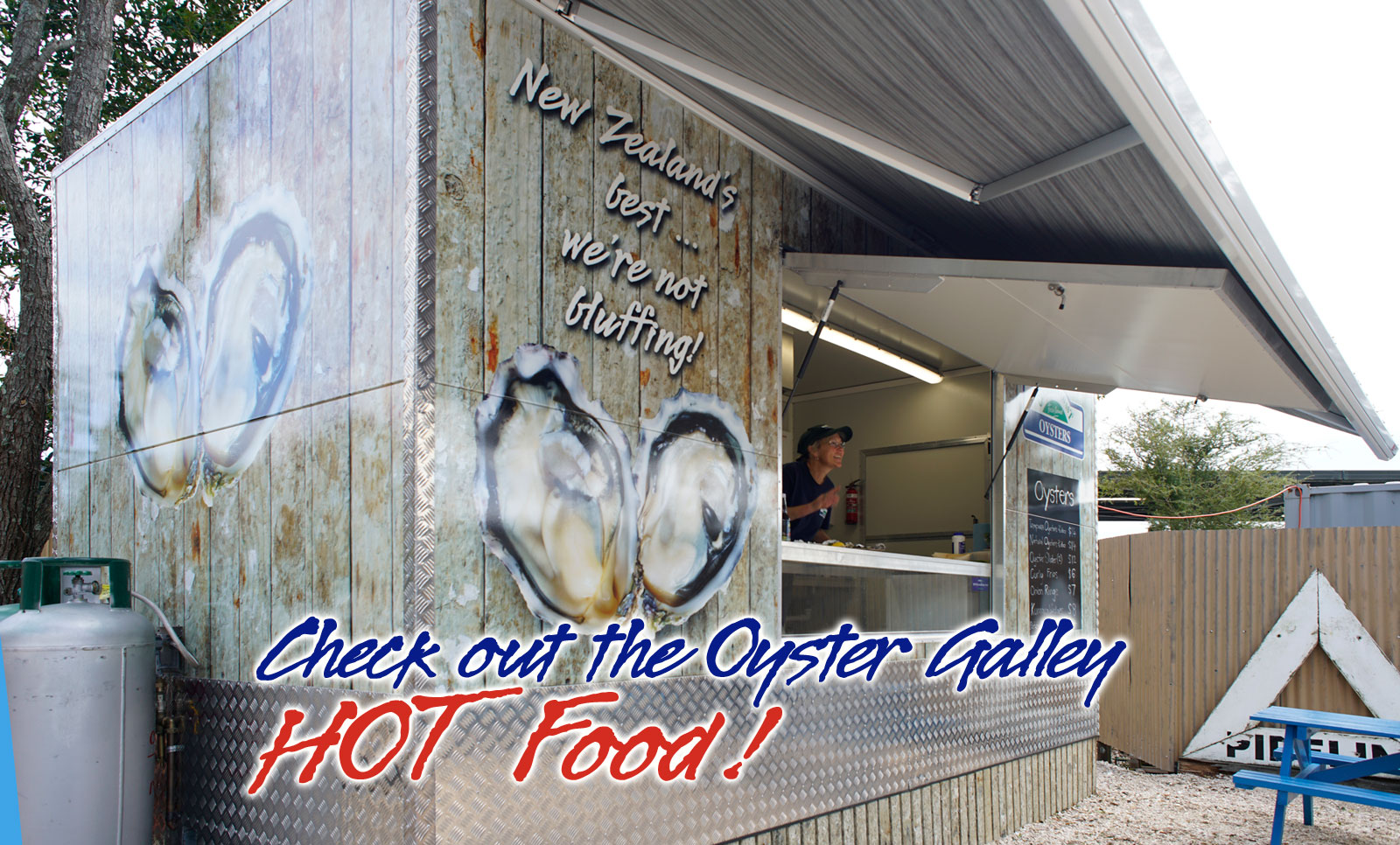 Clevedon Coast Oysters New Zealand's best oysters we're not Bluffing!
