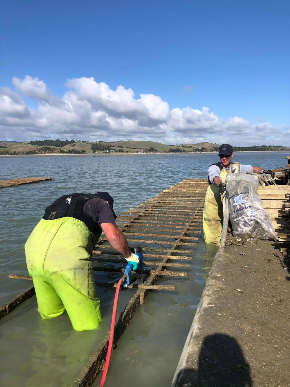 Our Oysters Clevedon Coast Oysters