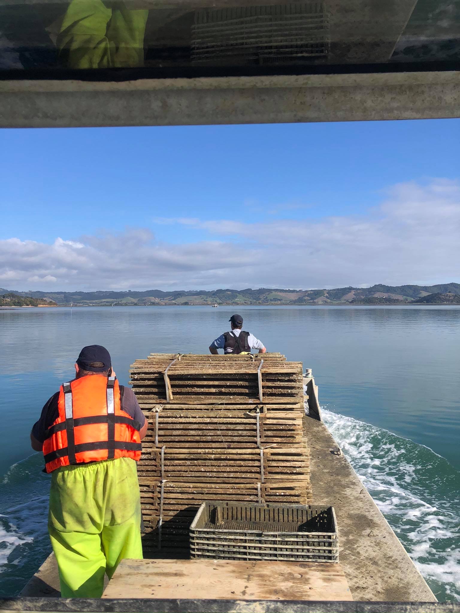 Our Oysters Clevedon Coast Oysters